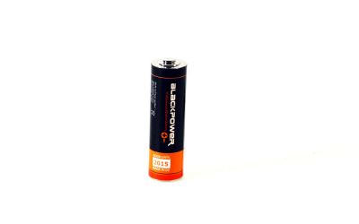 Batterieversteck MICRO AA