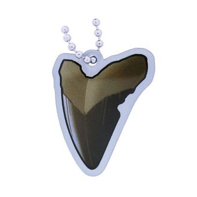 EarthCache™ Fossil Tag- Tooth