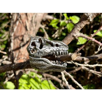 T-Rex Head 3D Geocoin - Antik Silber