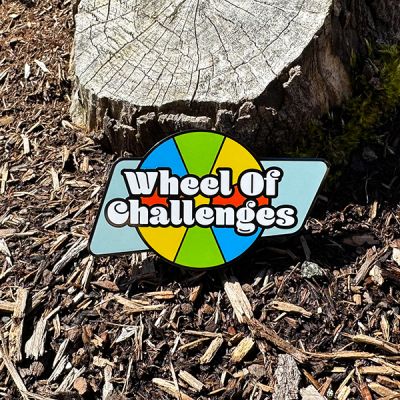 Wheel of Challenges Spinner Geocoin (spinning)