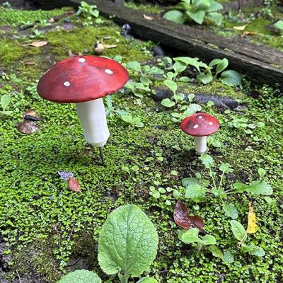Small Toadstool Devious Cache Container