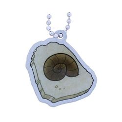 EarthCache™ Fossil Tag- Shell